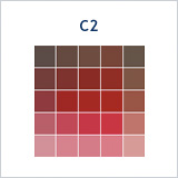 C2 Color Palette