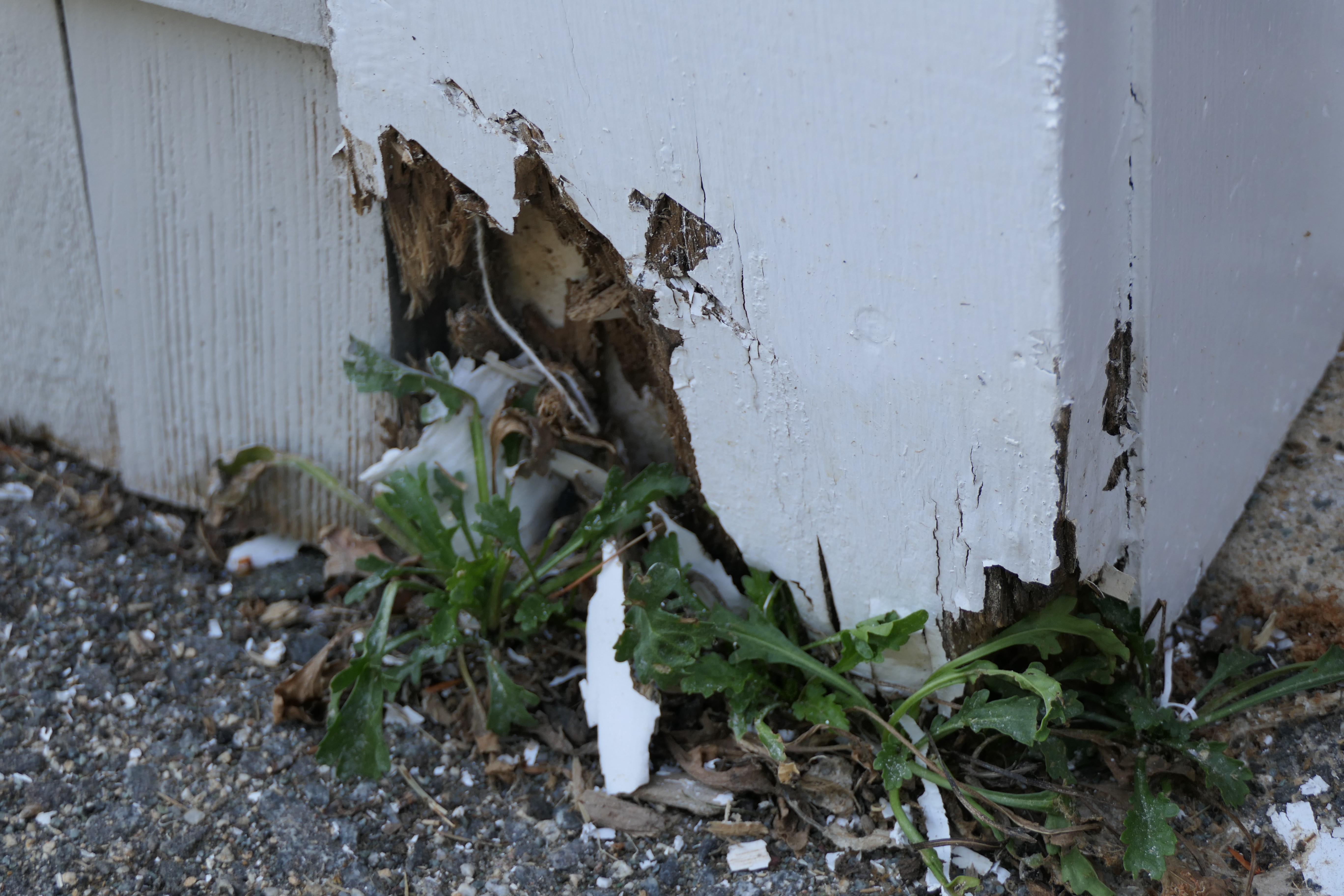 How Long will the Paint Job Last? Michael McManus Fine Home Painting LLC