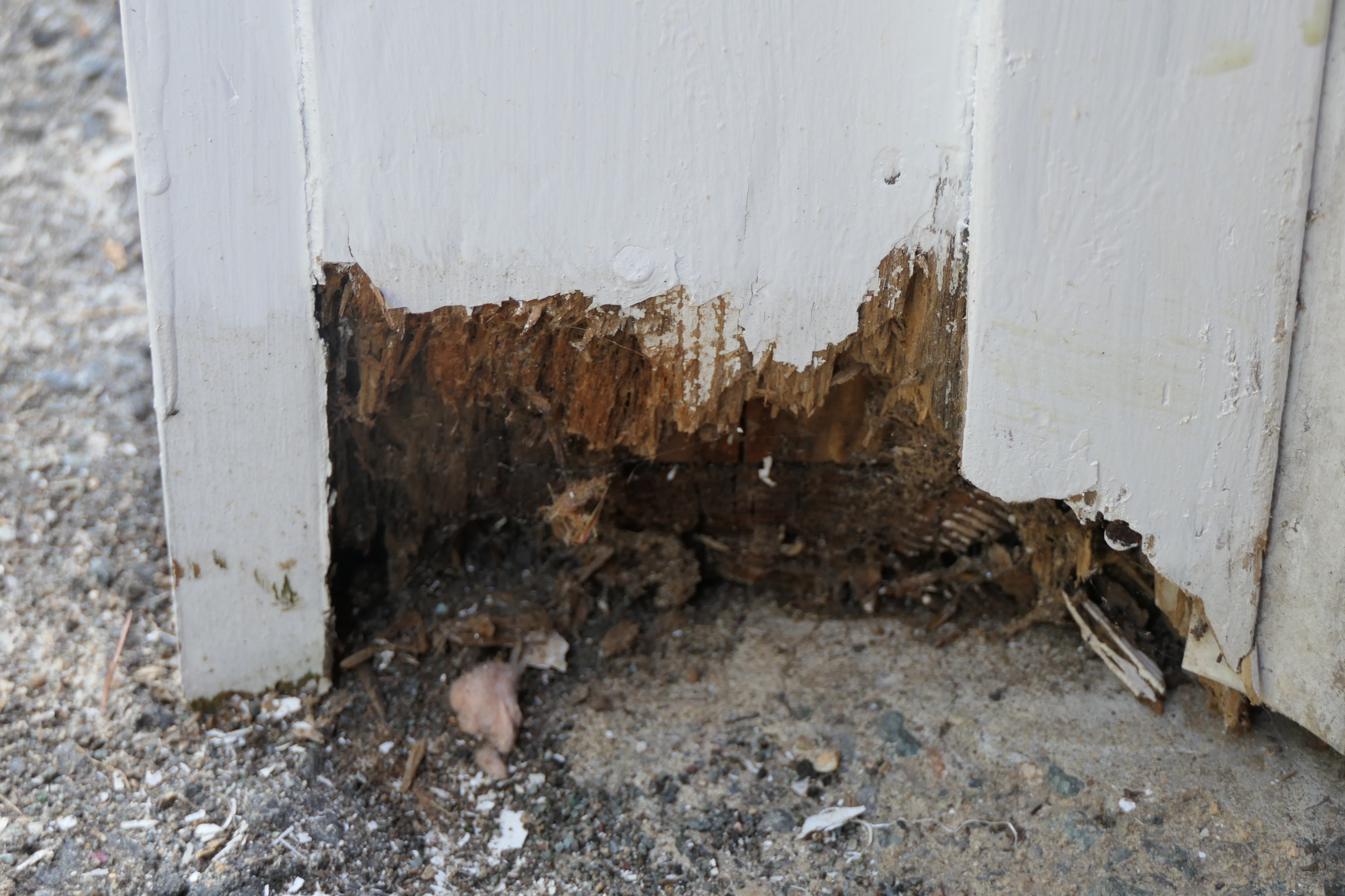 How Long will the Paint Job Last? Michael McManus Fine Home Painting LLC